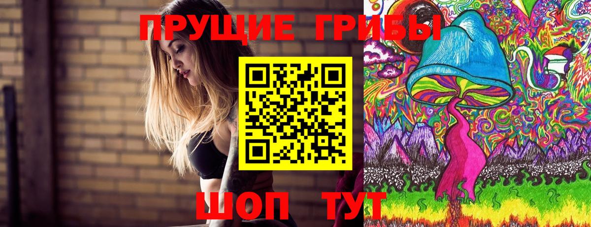 Псилоцибиновые грибы GOLDEN TEACHER Канаш