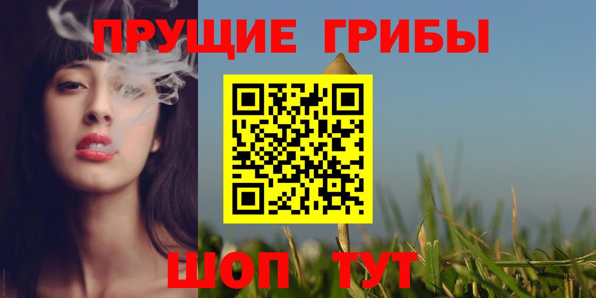 Галлюциногенные грибы Psilocybe  цена   Канаш  Вход с VPN  Галлюциногенные грибы прущие грибы 